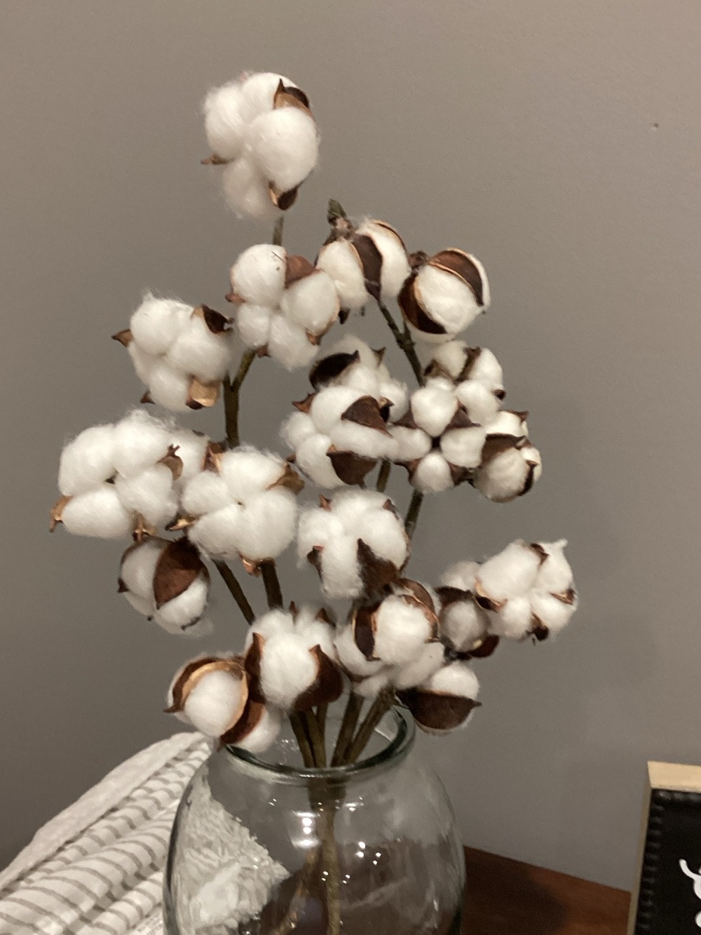 COTTON PICKS